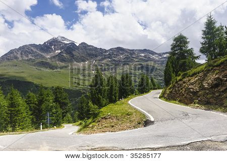 Passo Gavia