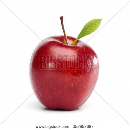 Fresh Apples. Lots Of Apples. Leaves Of Apple. Freshly Harvested Apples From An Apple Tree.