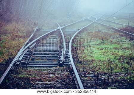 Railroad Track Switches Disappearing In Mist And Bushes In Foggy Morning