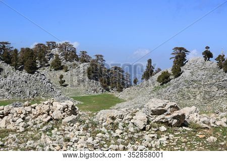 landscape with green meadow among stones in mountains. Lician way in Turkey. Sunny mountain landscape