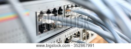 Focus On Internet Chords And Cables Perform Role Of Porter Of Ethernet Connection And Wi-fi Provider