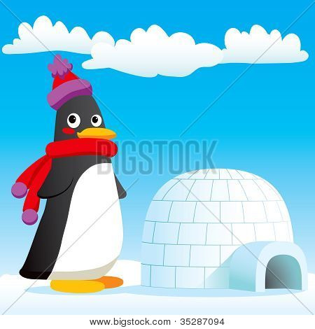 Pingüino nuevo hogar