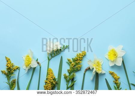 Flat Lay Composition With Spring Flowers On Light Blue Background. Space For Text