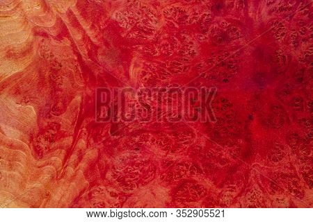 Close Up Nature Jamba Pink Burl Wood Striped, Exotic Wooden Beautiful Pattern For Crafts Or Abstract