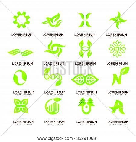 Set Of Abstract Green Nature Logo Design Vector