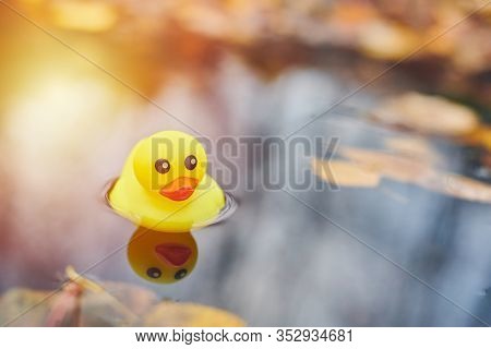Duck Toy In Autumn Puddle With Leaves. Autumn Symbol In City Park. Fairweather Or Cloudy Weather Con