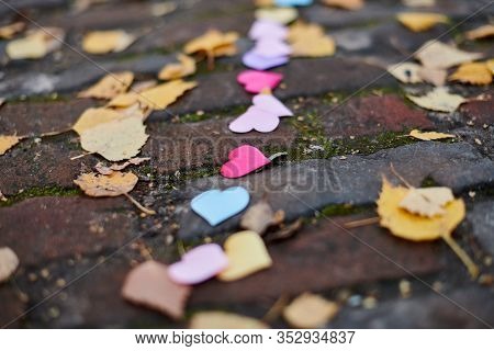 Hearts On Road With Autumn Leaves. Love, Friendship Or Polygamy Concept. All Family Members Together