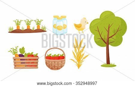 Farming And Harvesting Products With Wheatear And Basket Of Vegetables Vector Set