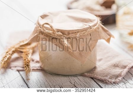 The Leaven For Bread Is Active. Starter
Sourdough ( Fermented Mixture Of Water And Flour To Use As L