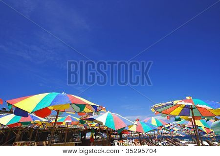 Barevný slunečník