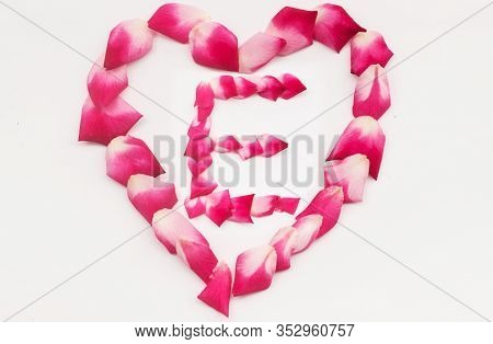 Love Shape Rose Petal Letter E Background Image On White Background. Letter E Into Love Shape