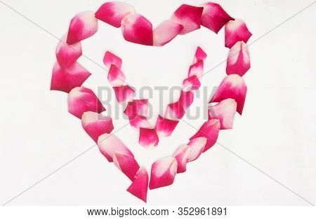 Love Shape Rose Petal Letter V Background Image On White Background. Letter V Into Love Shape