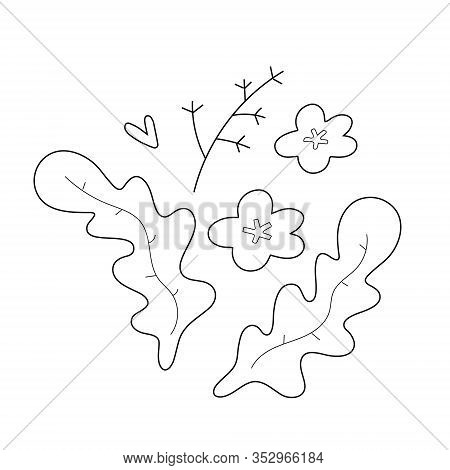 Garden Herbs With Flowers Illustration, Outline Doodle Drawing, Cute Cartoon Illustration, Isolated 
