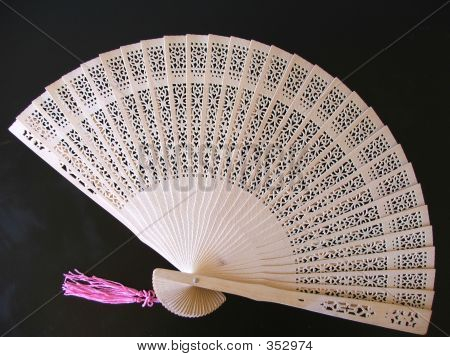 Puramente asiatica