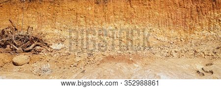 Deforestation Close Up With Roots, Rocks Showing In Sunlight. Red And Yellow Rocks Where Soil Was Du