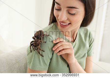 Woman With Striped Knee Tarantula At Home, Closeup. Exotic Pet