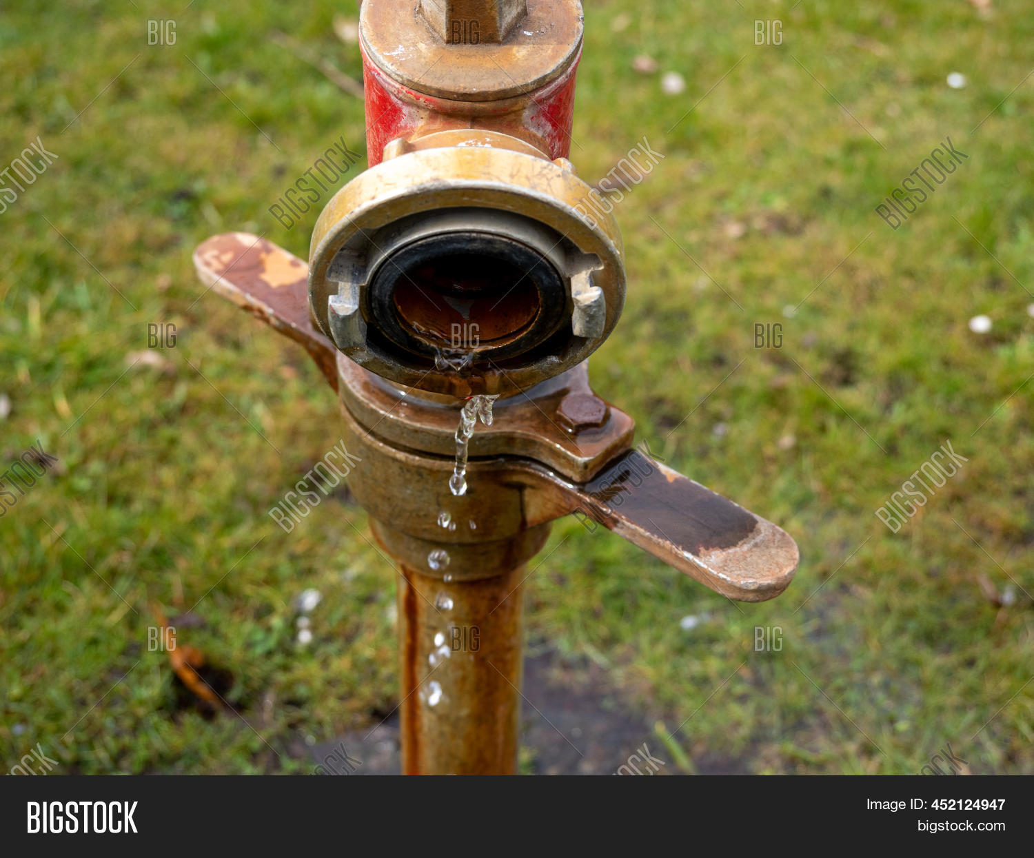 Watering Hydrants Park Image & Photo (Free Trial) Bigstock