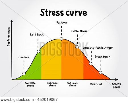 Different Stages Of The Stress Curve, Educational Diagram Concept For Presentations And Reports