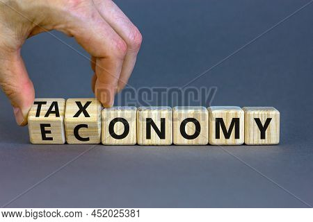Taxonomy Or Economy Symbol. Businessman Turns Cubes, Changes The Word Economy To Taxonomy. Beautiful