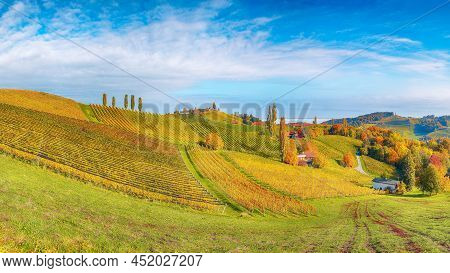 Fabulous Vineyards Landscape In South Styria Near Gamlitz. Autumn Scene Of Grape Hills In Popular Tr