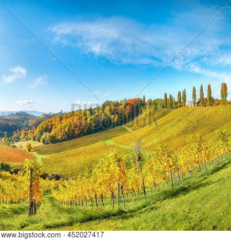 Breathtaking Vineyards Landscape In South Styria Near Gamlitz. Autumn Scene Of Grape Hills In Popula