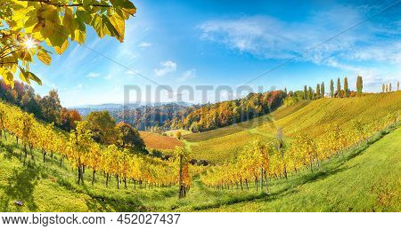 Fabulous Vineyards Landscape In South Styria Near Gamlitz. Autumn Scene Of Grape Hills In Popular Tr