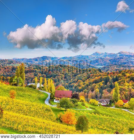 Breathtaking Vineyards Landscape In South Styria Near Gamlitz. Autumn Scene Of Grape Hills In Popula