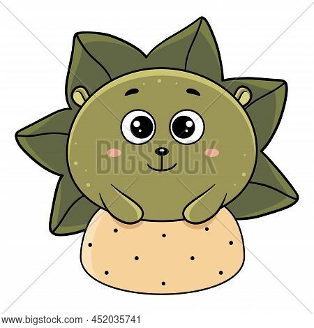 Cactus Succulent In The Form Of A Hedgehog. Hedgehog. Plant. Flower. An Extraordinary Flower. A Hous