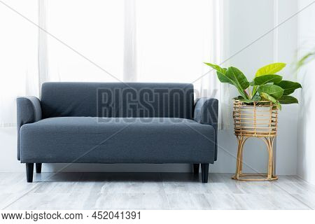 Living Room In A Minimalist House, With Sofas And Plants To Liven Up The Room, The Interior Of The L