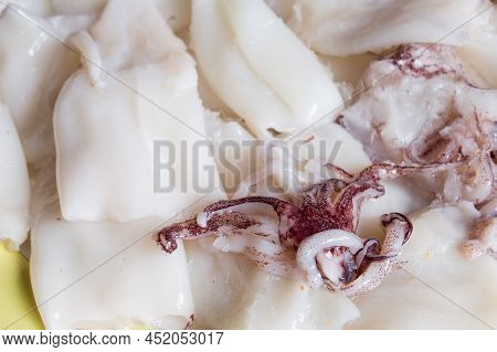 Fresh Squid Tentacles Close-up. Fish And Food.