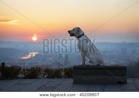 Sonnenaufgang In der Stadt