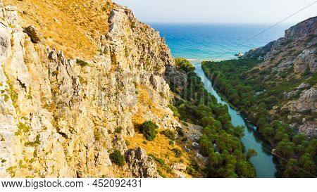 Palms Near Green River In Preveli, Crete Island, Greece