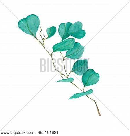 Watercolor Floral Illustration Set - Green Leaf Branches Collection, For Wedding Stationary, Greetin