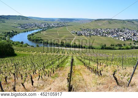 Mosel River Curve In Horseshoe Shape Between Leiwen And Trittenheim