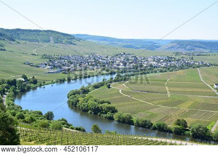 Mosel Curve With Vineyards On Both Sides, Area Between Leiwen And Trittenheim