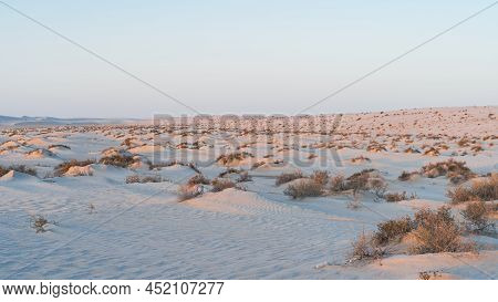Plants Grown On Top Small Dune Mountains At Sealine Dunes Area.