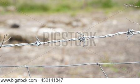 Barbed Wire. Part Of Guarding Farm Fence. A Close Up Of A Barbed Wire Fence At A Cattle Farm, Protec