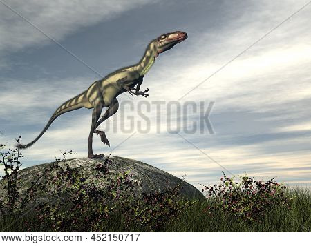 Dilong Dinosaur On A Rock - 3d Render