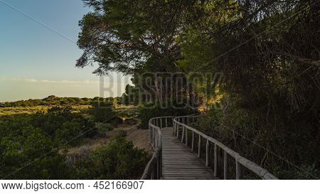 Donana National Park In Spain A Unesco World Heritage Site