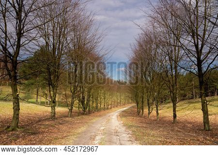 Curved Path Through The Nature Reserve De Paltz Near Soest
