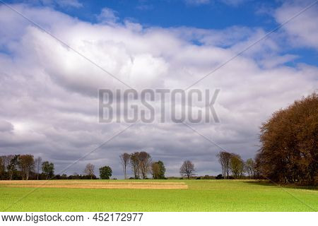 View Over A Wide Field Surrounded By Trees Close To Ootmarsum
