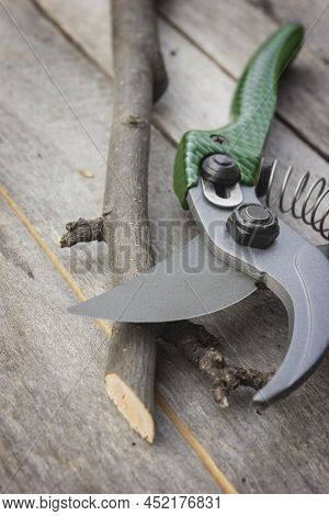 Garden Pruner With Plastic Green Handles On A Wooden Table. Graftage