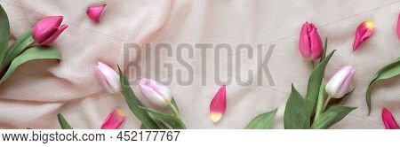 Pink Tulips With Petals On Cream, Beige Textile Background. Springtime Holiday Card Design With Copy