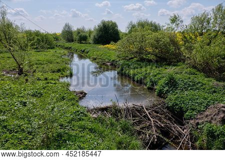 Small River With Beavers Dam In Springtime Midday, Podlaskie Voivodeship, Poland, Europe