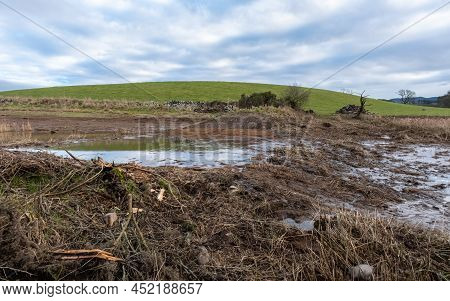 A Breached Flood Bank On A Wetland Restoration Project, With Water Flowing Through Naturally, With S