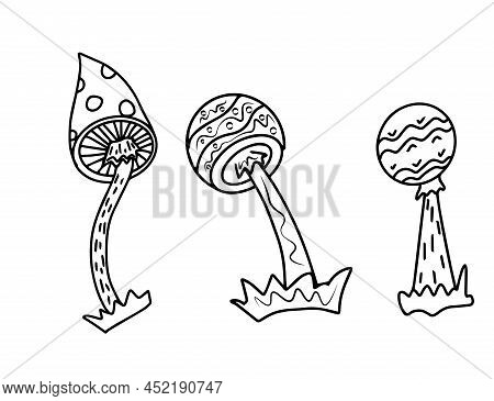 Set Of Magic Mushrooms. Fly Agaric And Pale Grebe. Death Cap. Doodle Style, Hand Drawn Sketch.