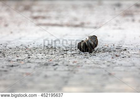 War In Ukraine. Unexploded Mine