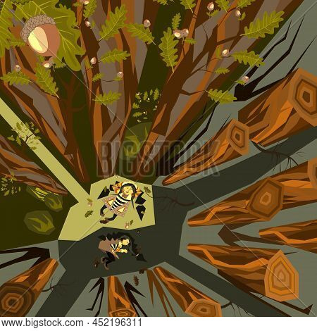 Many Trees On One Side Of The Forest And A Happy Girl Lies In A Clearing Enjoying Life And Breathing