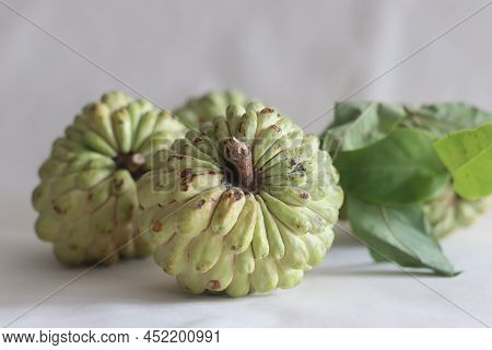 Custard Apple. A Cherimoya Family Fruit With Green And Leathery Skin