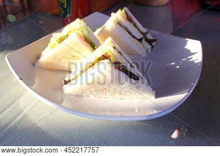 Club Sandwich Served In White Plate. White Shiny Table Surface With Glass Pot Filled With Plant And 